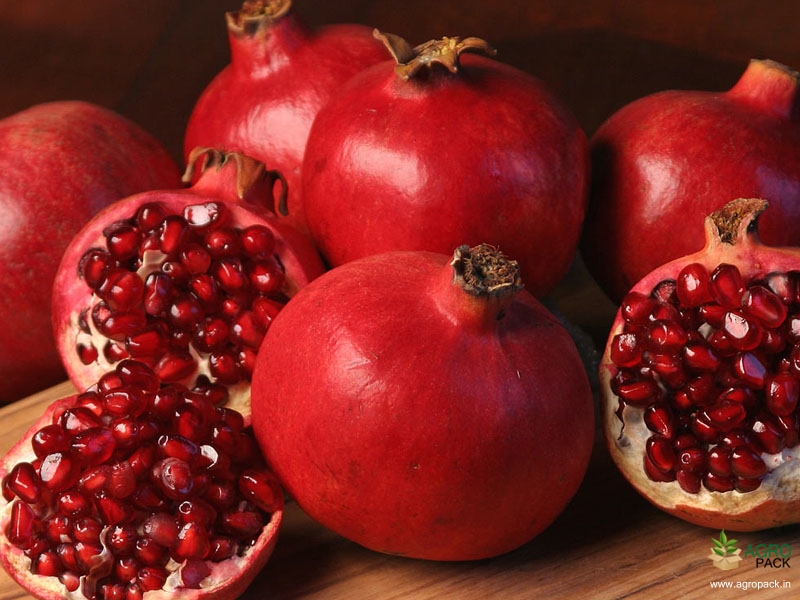 Pomegranate5