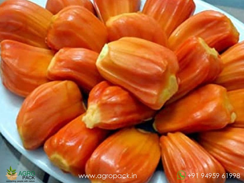 Thailand-Red-Jackfruit2