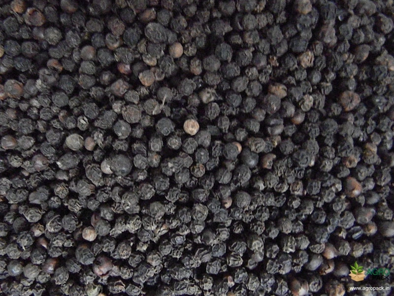 Black-Pepper2