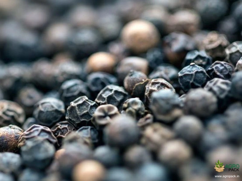 Black-Pepper3