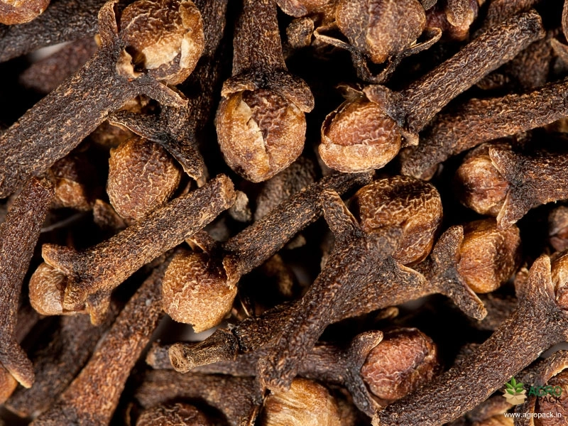 Clove3