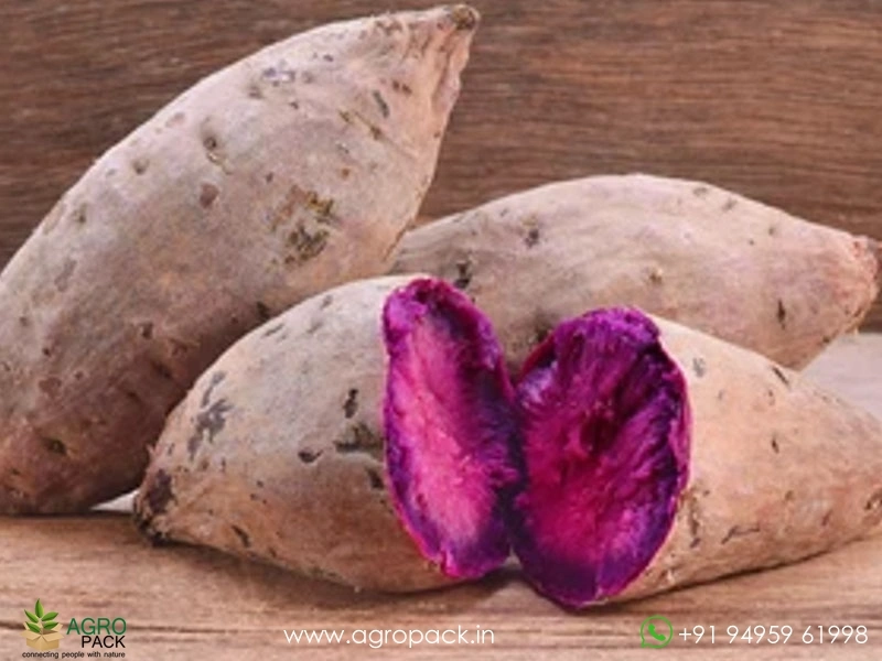 Purple-Water-yam1