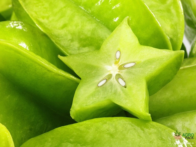 Star-Fruit6