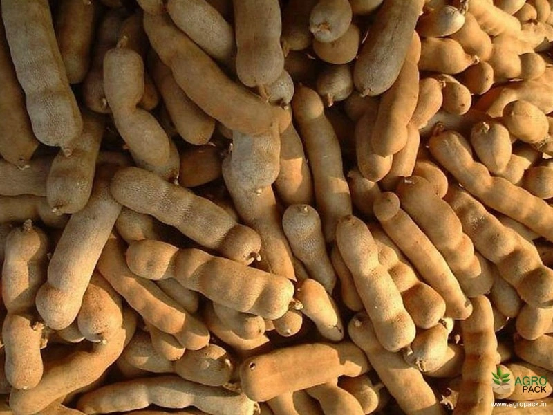 Tamarind2
