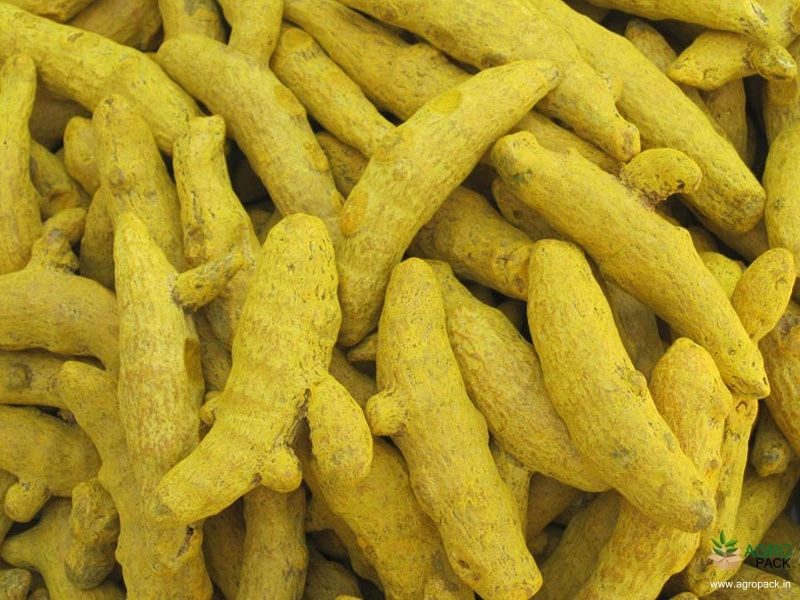 Turmeric1