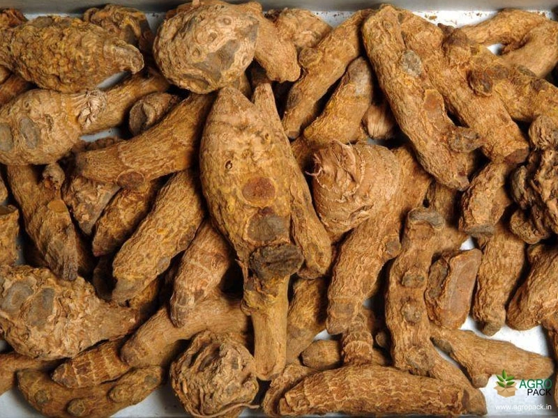 Turmeric2