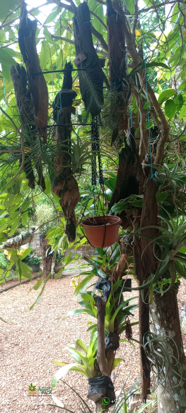 our plant nursery album