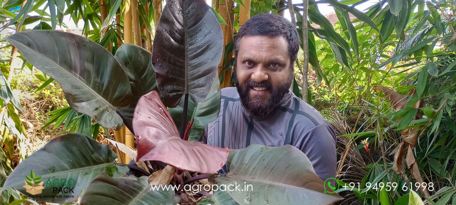 our plant nursery album