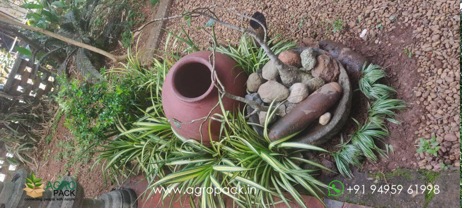 our plant nursery album
