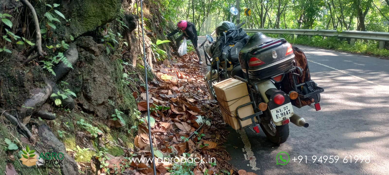 our plant nursery album